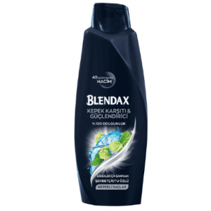 Blendax Kepek Karşıtı&güçlendirici Erkekler İçin Şampuan 500 Ml