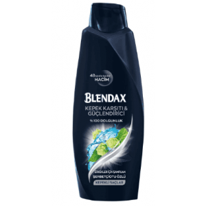 Blendax Anti-Dandruff & Strengthening Shampoo For Men 500 ml