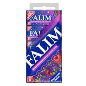 Falım Işıl Sugar Free Cheving Gum Forest Fruit 5 pc 