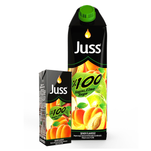 Juss% 100 Apricot Apple Juice 1 L 