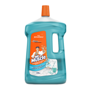 Mr. Muscle Konsantre Yüzey Temizleyici (Versiyonlar) 2500 Ml