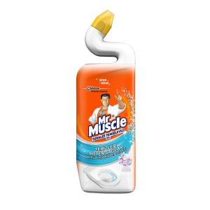 Mr. Muscle Tuvalet Temizleyici Bahar Ferahlığı 750 Ml