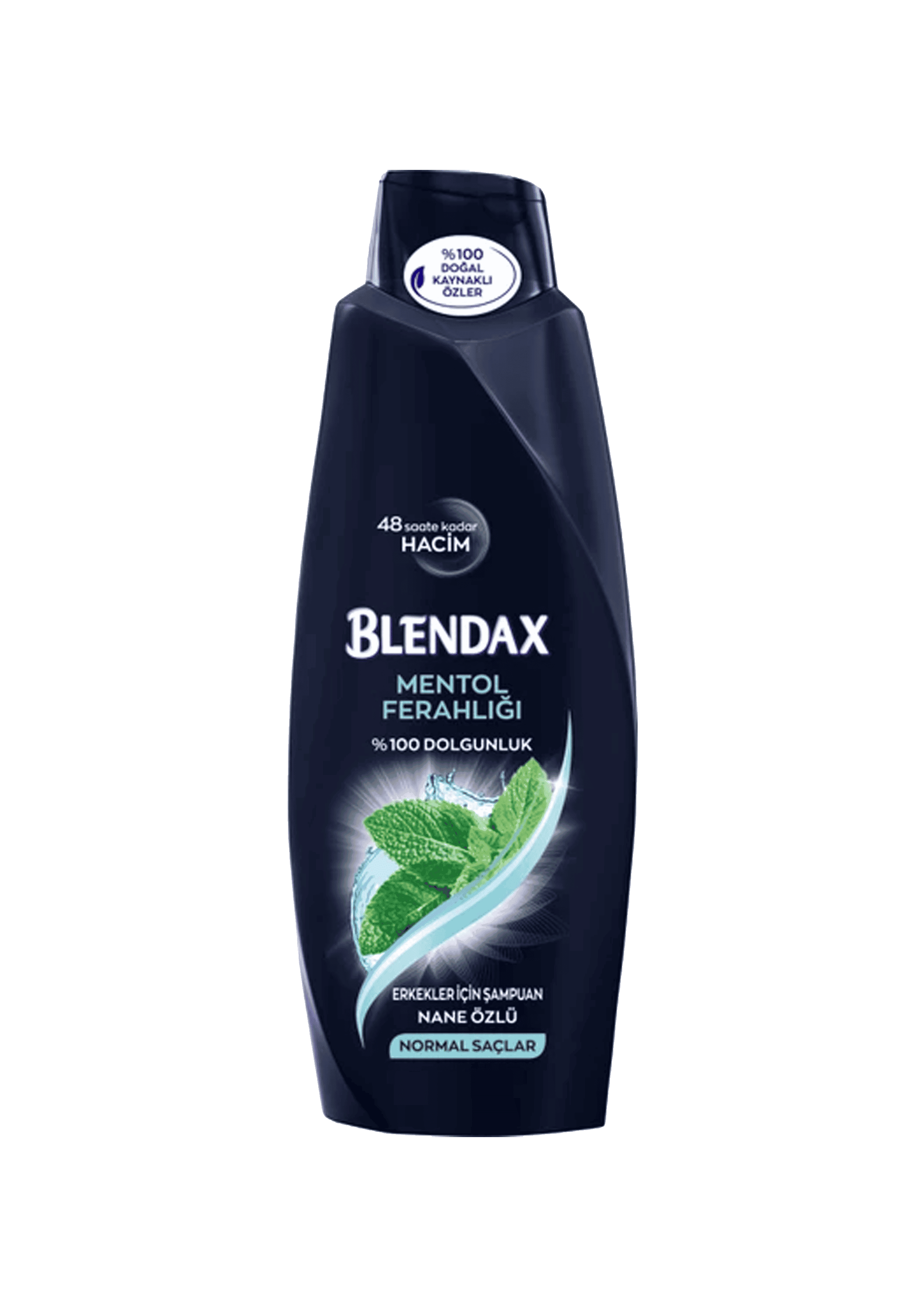 Blendax Menthol Shampoo For Men 550 ml 