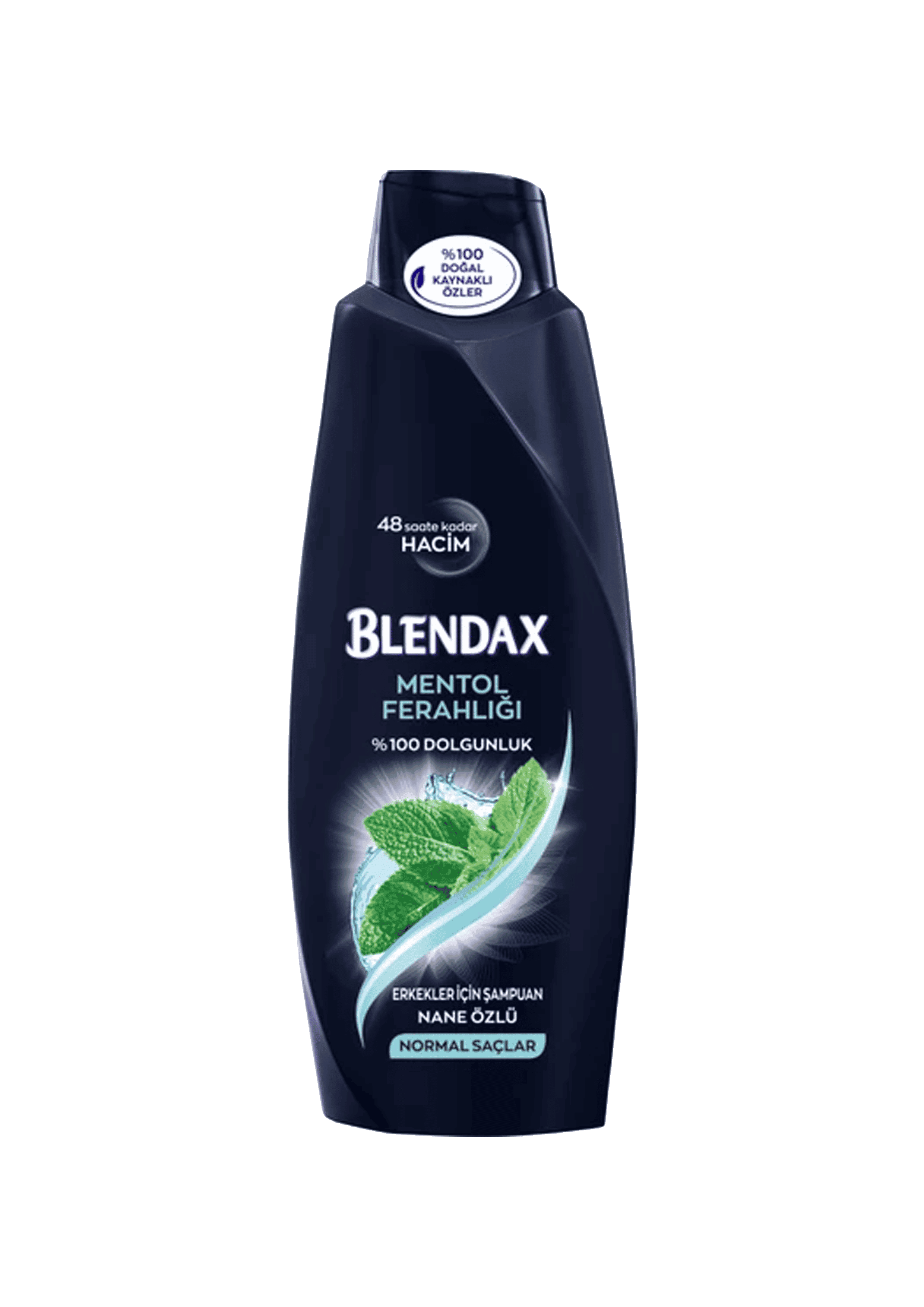 Blendax Mentollü Erkek Şampuan 550 Ml