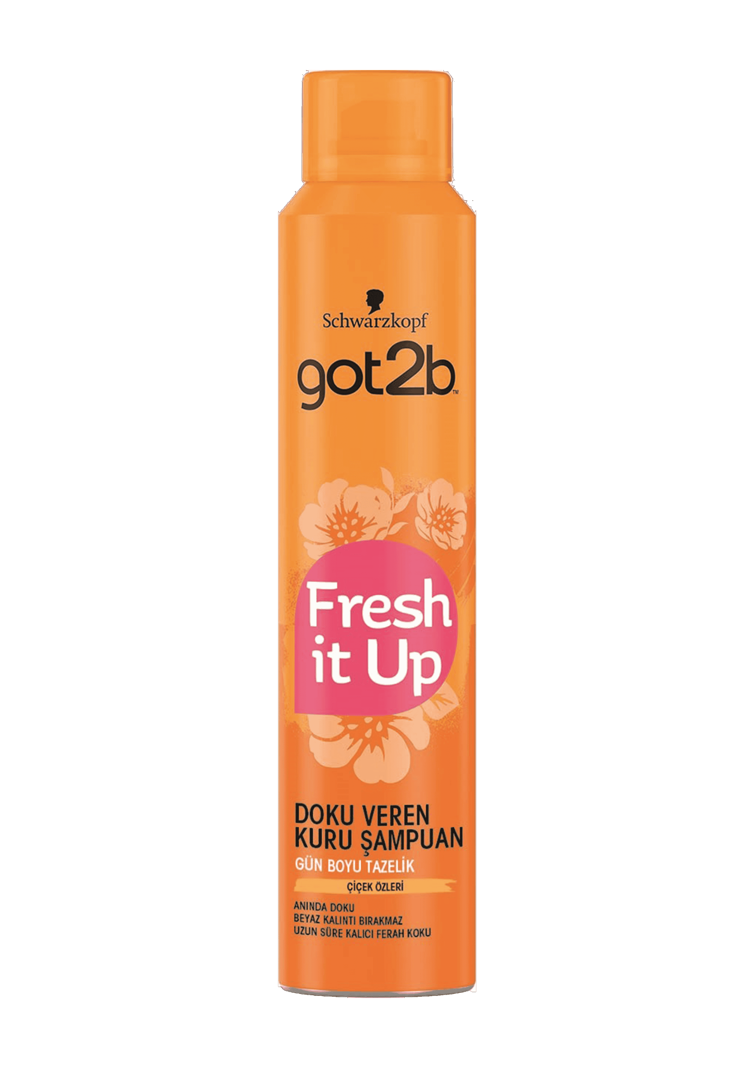 Got2Be Fresh It Up Texture Kuru Şampuan 200 Ml 