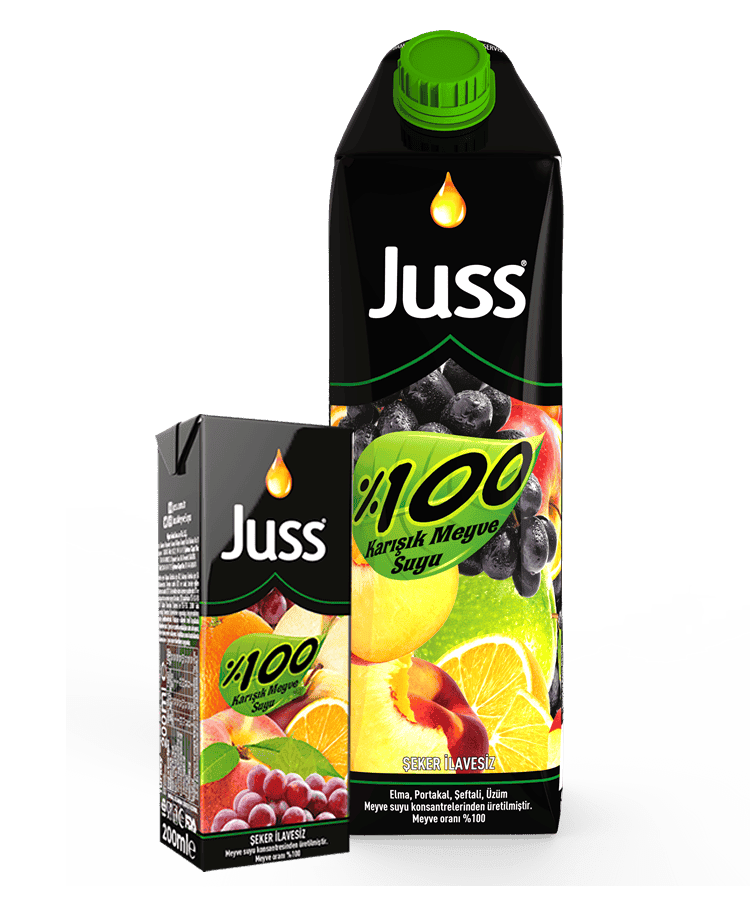 Juss 100% Mixed Fruit Juice 200 ml 