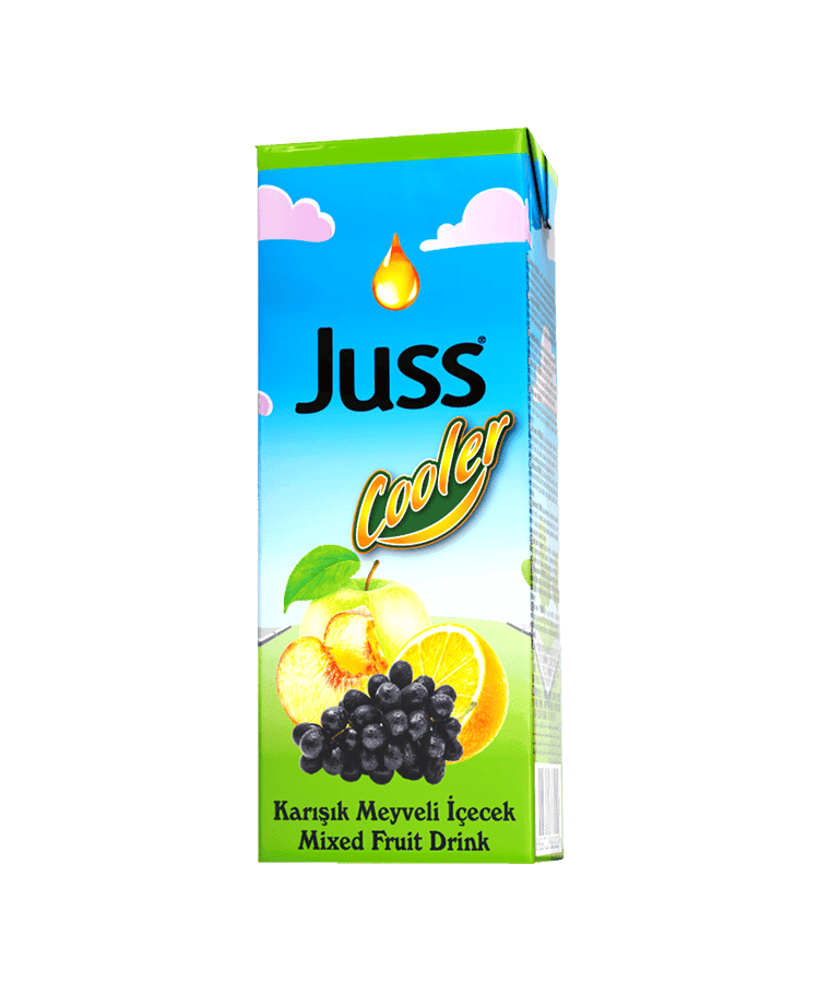 Juss Cooler Assorted Fruit Drink 200 ml 