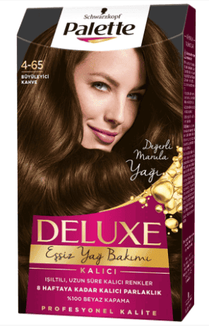Palette Deluxe Saç Boyası Büyüleyici Kahve 4-65 1 Adet
