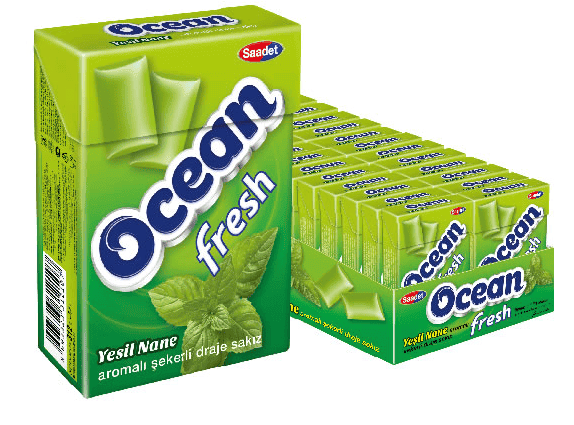 Saadet Ocean Fresh Spearmint Flavoured Sugared Dragee Gum 15 gr 