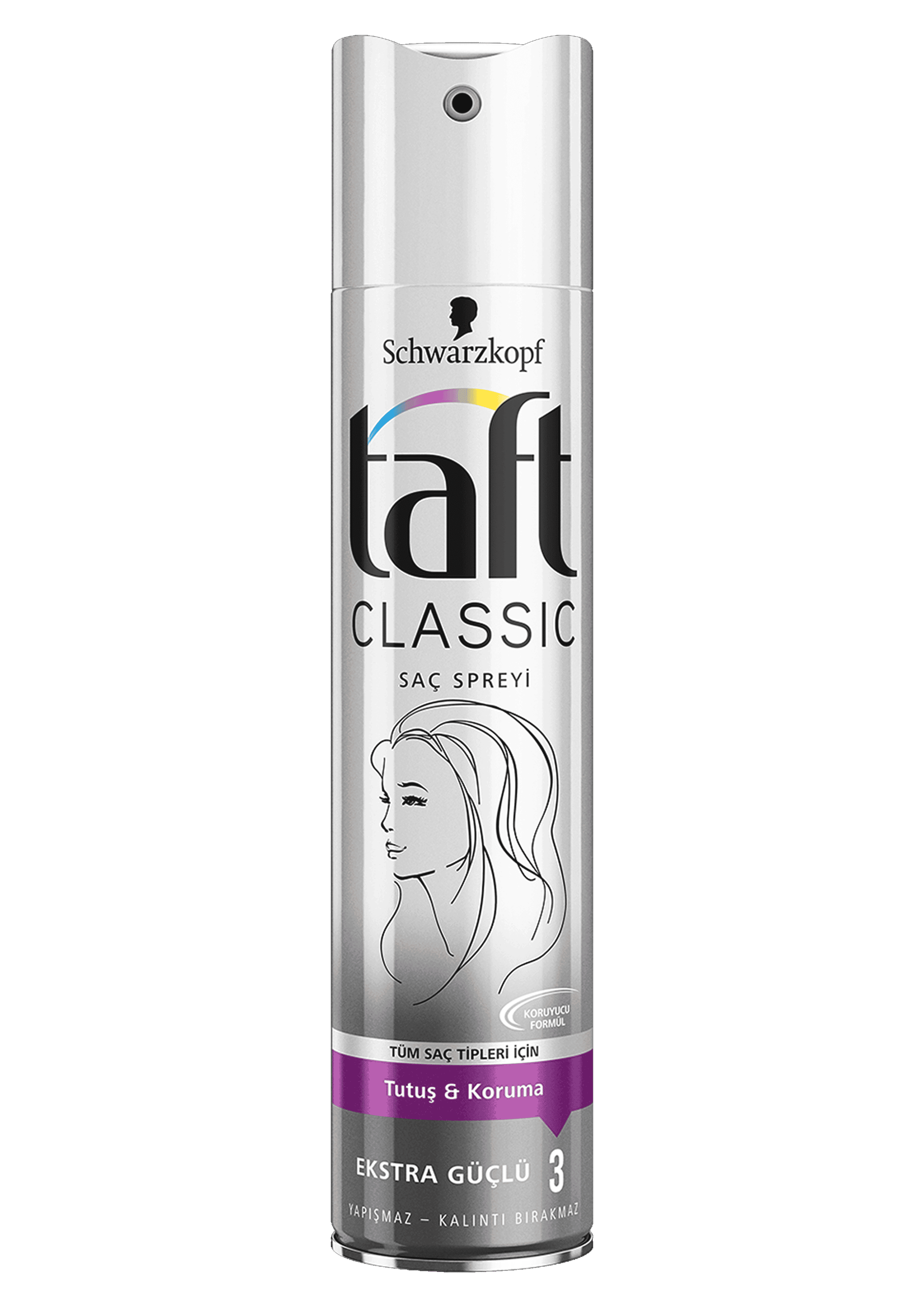 Taft Spray Classic 250 ml 