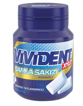 Vivident Mastic Gum Flavored Gum 67 gr